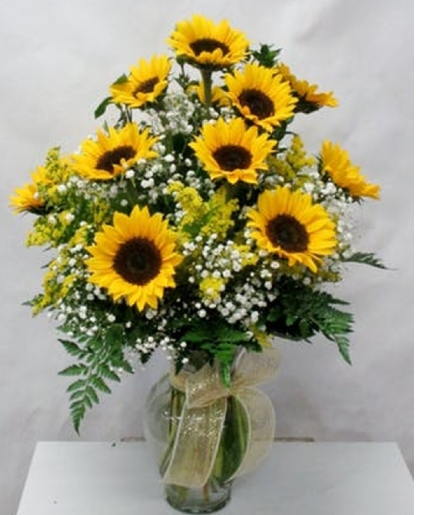 Sunflower Medly 