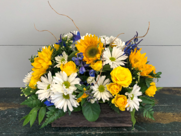 Sunflower Planter  in Bluffton, SC | BERKELEY FLOWERS & GIFTS
