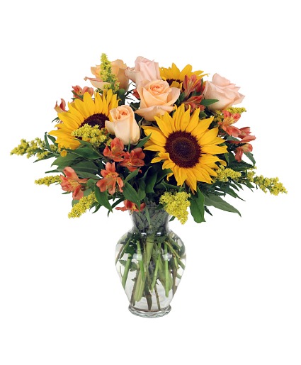 Sunflower Pleasure 