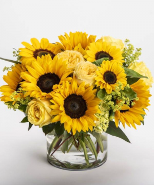 Sunflower Ransom!  