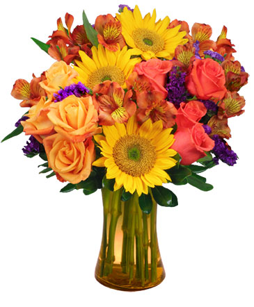 Sunflower Sampler Arrangement in Terrace Bay, ON | STRAWBERRY'S  FLORAL BOUTIQUE