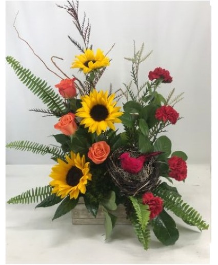 Sunflower Serenade with Cardinal 