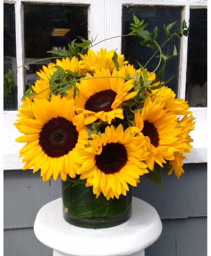 Sunflower Song Vase Arrangement