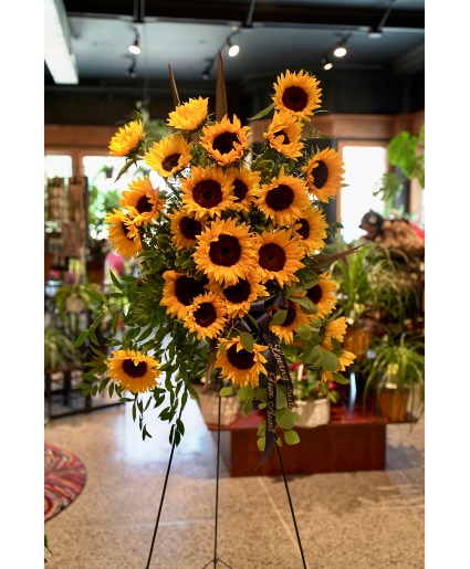 Sunflower Standing Spray Locally Grown