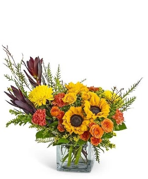 Sunflower Sunset Surprise Fresh Florals