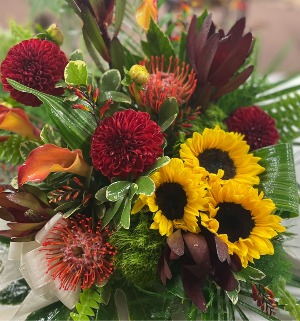 ‘Sunflower Sweetheart’ 