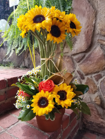 Sunflower topiary fresh flowers