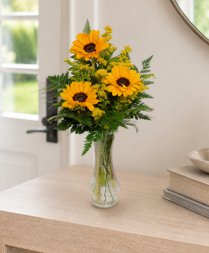 Sunflower Trio 