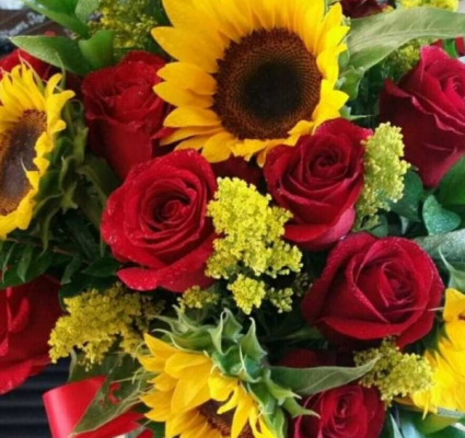 Smiling Sunflowers Sunflower
