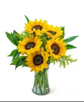 Sunflowers 