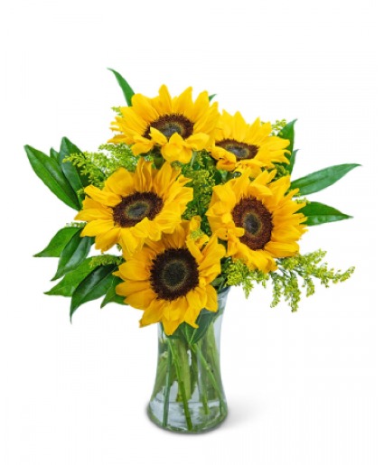 Sunflowers 