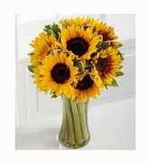 Sunflowers 