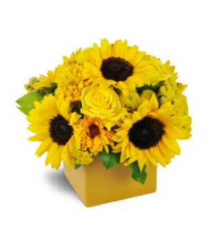 sunflowers for hours cube Floral Design