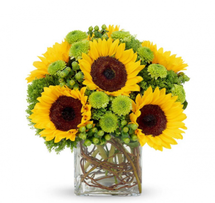 SUNFLOWERS ON SMALL VASE