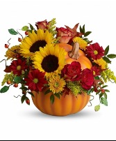 Sunflowers  pumpkin  