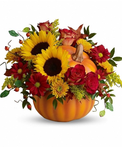 Sunflowers  pumpkin  