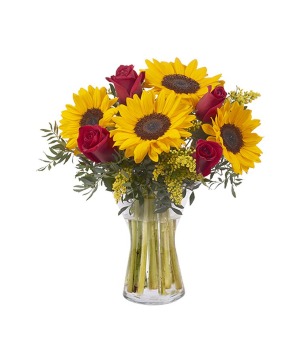 Sunflowers & Red Roses Sunflowers Florist