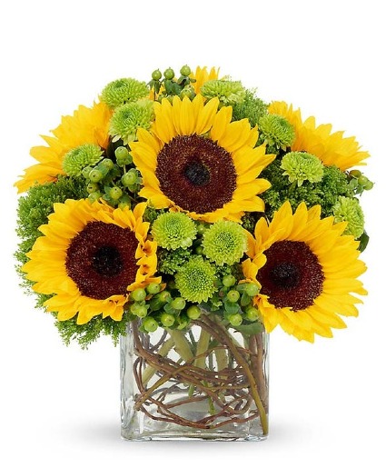 sunflowers warmth grandparents 