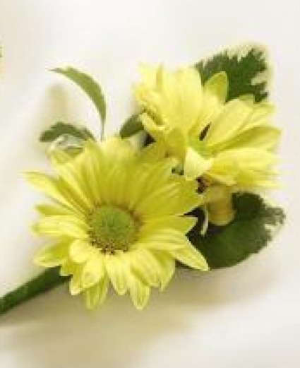 Sunglow Boutonniere