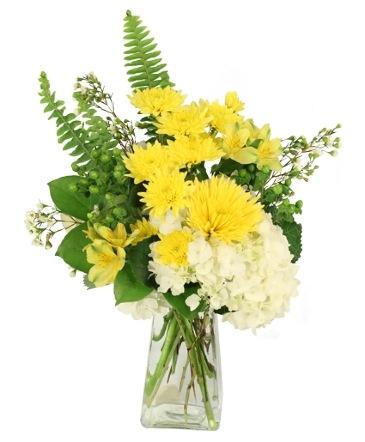 Sunlit Waltz Floral Design in Newport, OH | OOPSA DAISY FLORIST