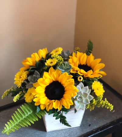 Sunny Blooms and Succulents  