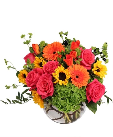 Sunny Citrus Charm Flower Arrangement in Philadelphia, PA | QA Test Account