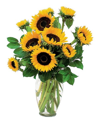Sunshine Yellow Bouquet Vase Sunflowers