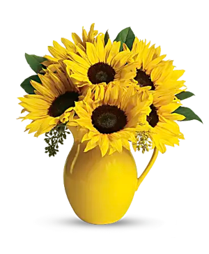 Sunny Day Pitcher of Sunflowers 