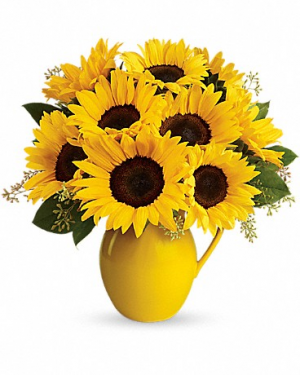 Sunny Day Pitcher of Sunflowers Bouquet
