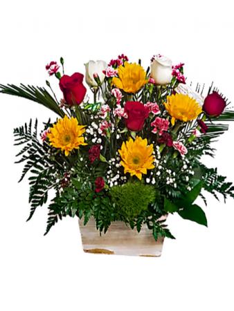 SUNNY DAYS House Specialty