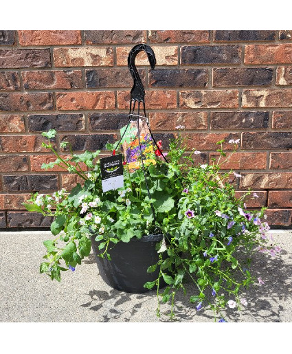 Sunny Dayz Outdoor Hanging Planter