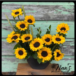 Sunny Dozen 