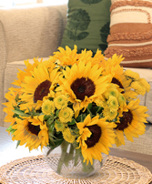 Sunny Escape Lifestyle Arrangement