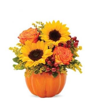 Sunny Fall Pumpkin 