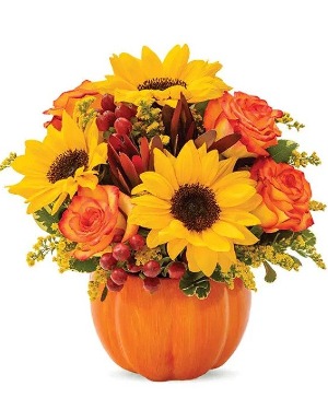 Sunny Fall Pumpkin  Bouquet