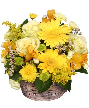 Sunny Flower Patch 
