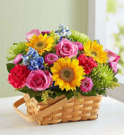 Sunny Garden Basket every day