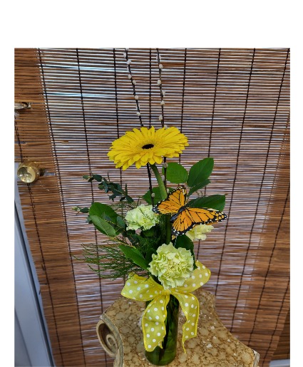 Sunny Gerbera  