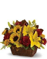 Sunny Harvest Any Occasion Arrangement