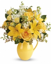Sunny Outlook T601-1 16"(w) x 18"(h)