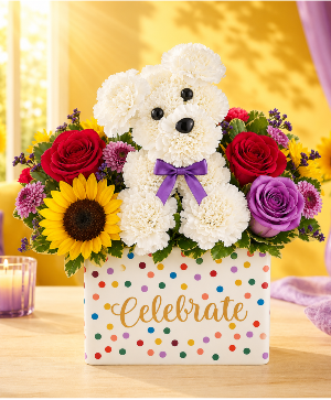 Sunny Paw Wishes Call Us for Faster Service & Daily Specials: (915) 303-8500 Text Us to Order Anytime: (915) 505-3708 Your trusted source for Flowers & Delivery in El Paso TX