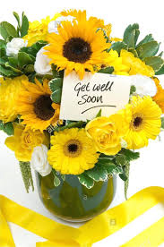 Sunny Pick me up! 