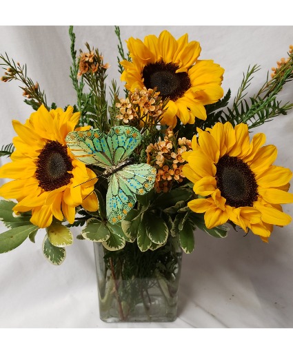 Sunny Pick Me Up! 3 sunflowers in a Vase  (E) With a butterfly pic!