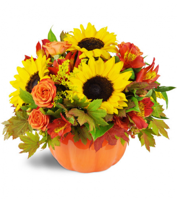 Sunny Pumpkin  Fall Bouquet in Whitesboro, NY | KOWALSKI FLOWERS INC.