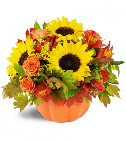 Sunny Pumpkin  Fall Bouquet