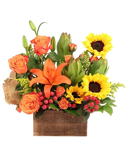 Sunny Radiance Floral Design 