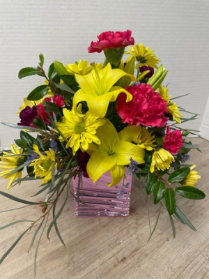 Cube - Sunny Reflections Arrangement