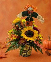 Sunny Scare Crow 