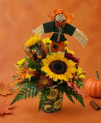 Sunny Scare Crow 
