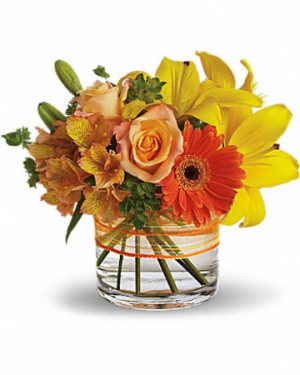 Sunny Siesta t157-3 11.5"(w) x 10"(h) 